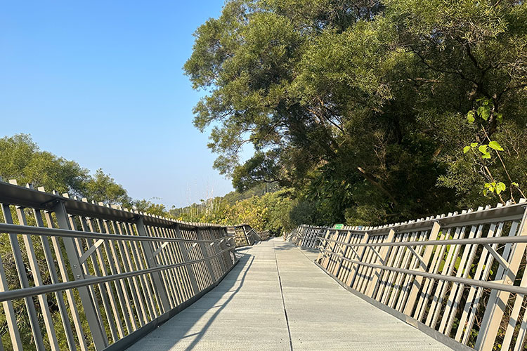 Chinese Fuzhou City Forest Pavement