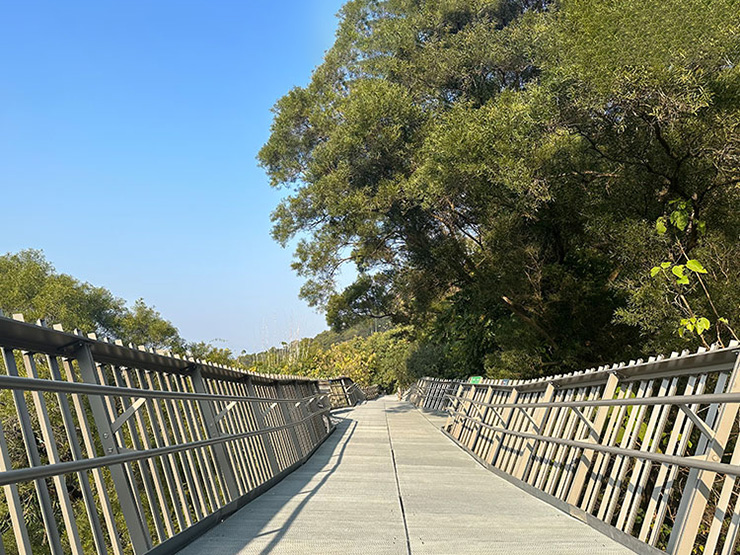 Chinese Fuzhou City Forest Pavement